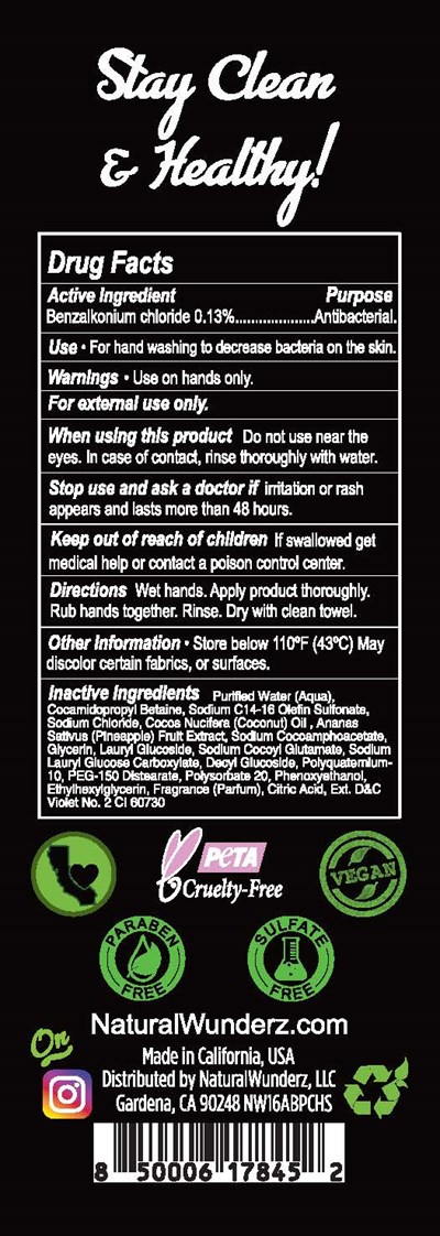 01b Lbl_16oz Anti-bacterial Hand Soap Pina Colada (back) (01b Lbl 16oz Anti Bacterial Hand Soap Pina Colada (back))